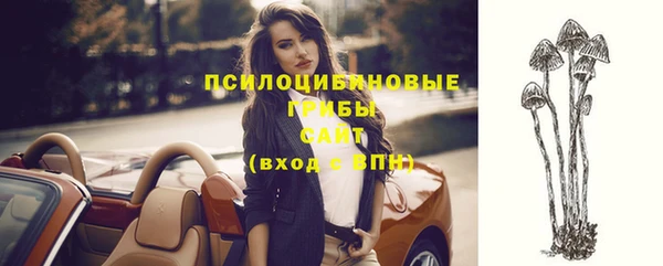 эйфоретик Нефтегорск