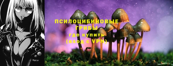 эйфоретик Нефтегорск