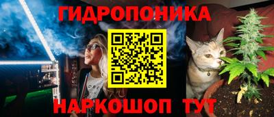 альфа пвп Аргун