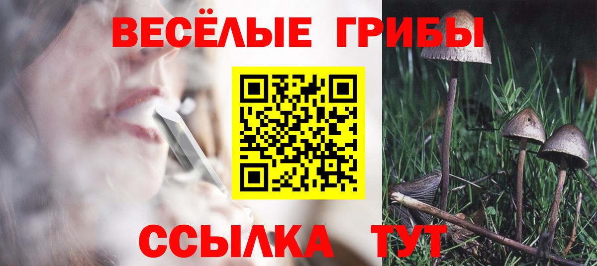 Галлюциногенные грибы прущие грибы  Вход с VPN  Уварово  Галлюциногенные грибы Cubensis 